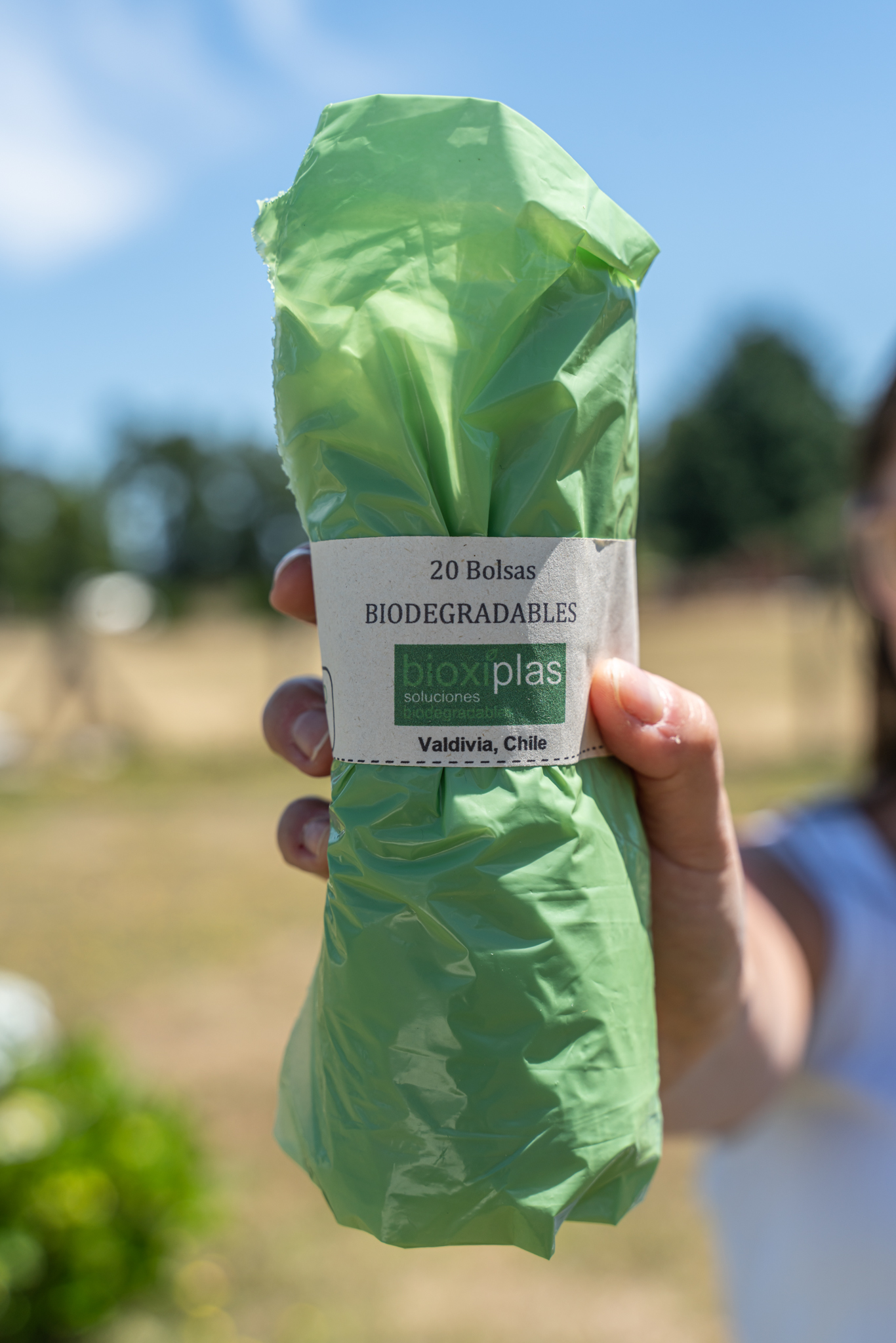 Related to biodegradable bag